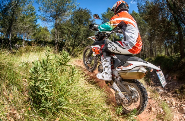 2014-KTM-690-Enduro-R-2